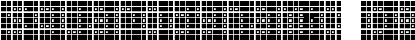 Squarodynamic 09